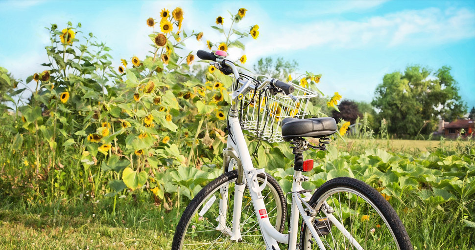 Fitness im Alltag - so bleiben Sie gesund